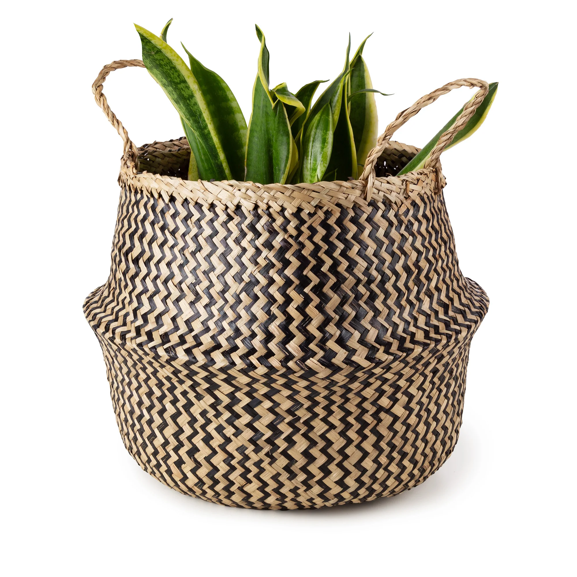 Image du produit 10